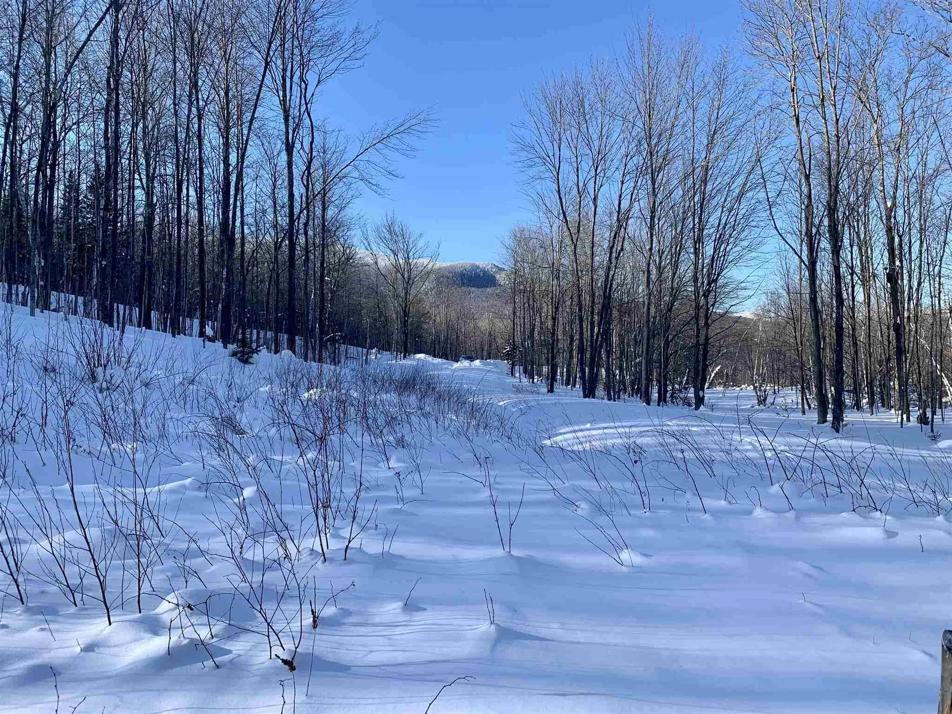 1923 German Flats Road Fayston VT 05673