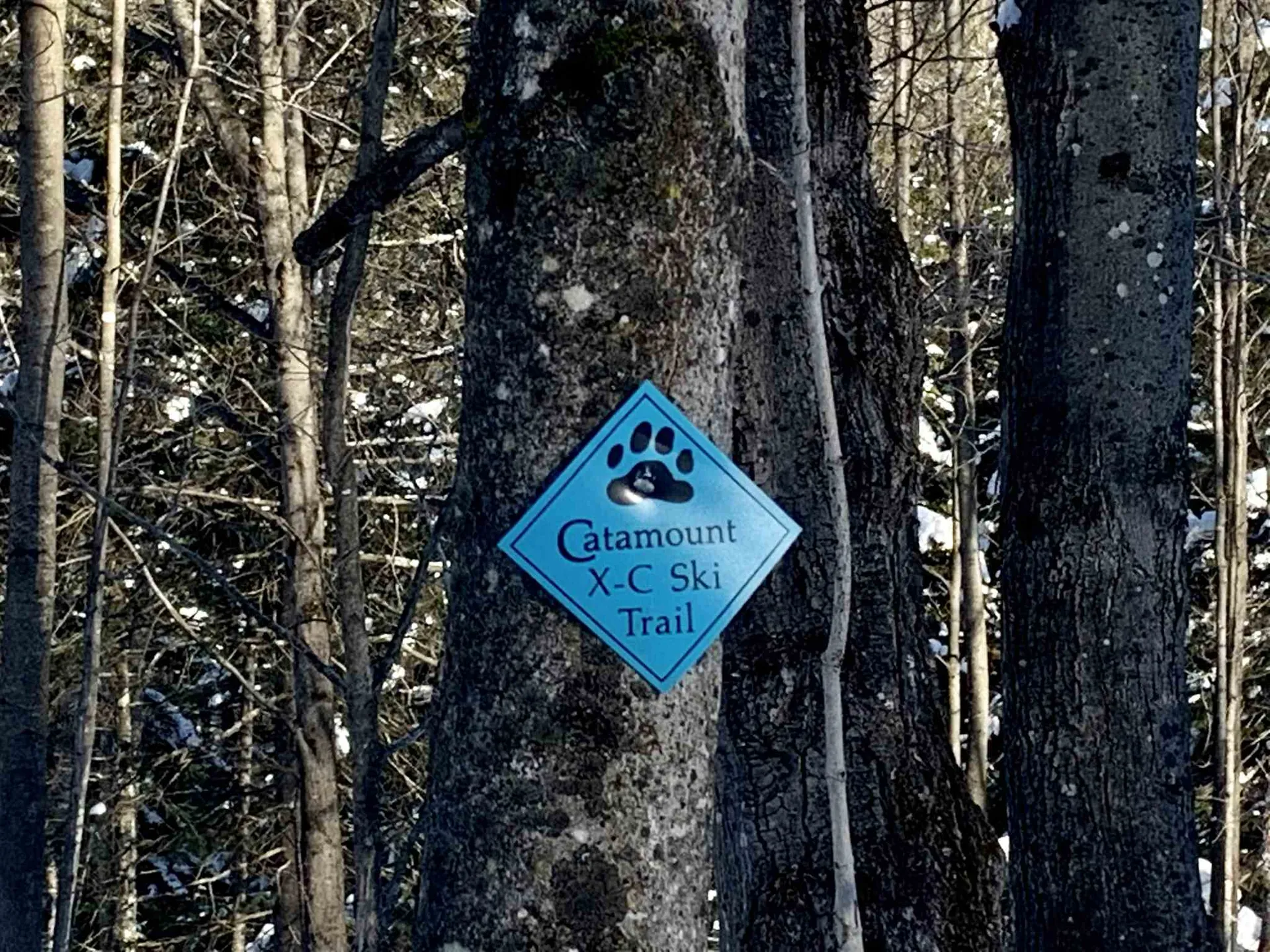 1923 German Flats Road Fayston VT 05673