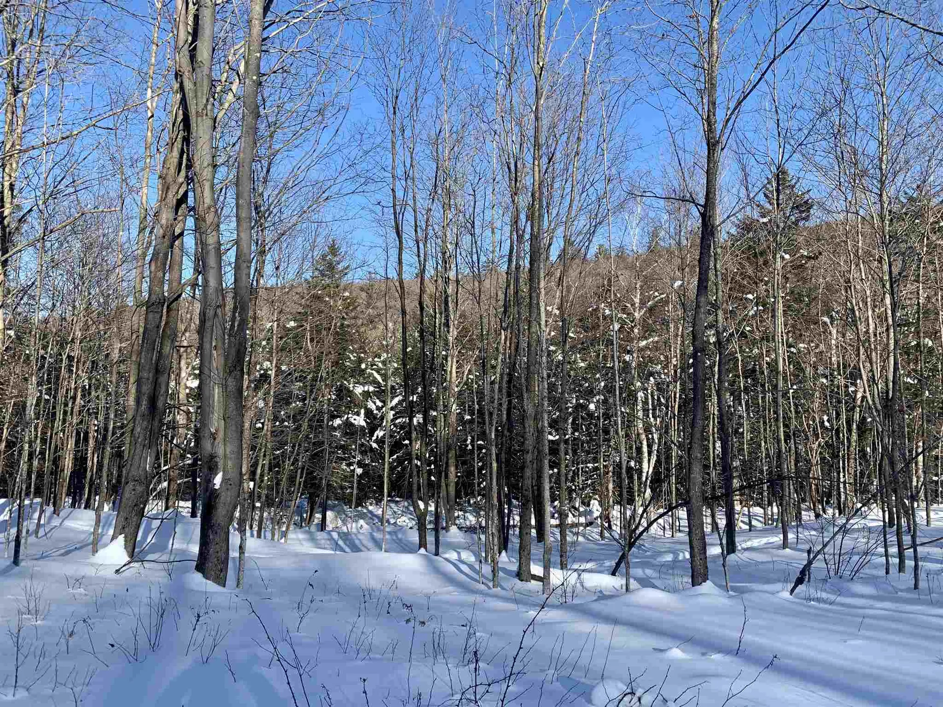 1923 German Flats Road Fayston VT 05673