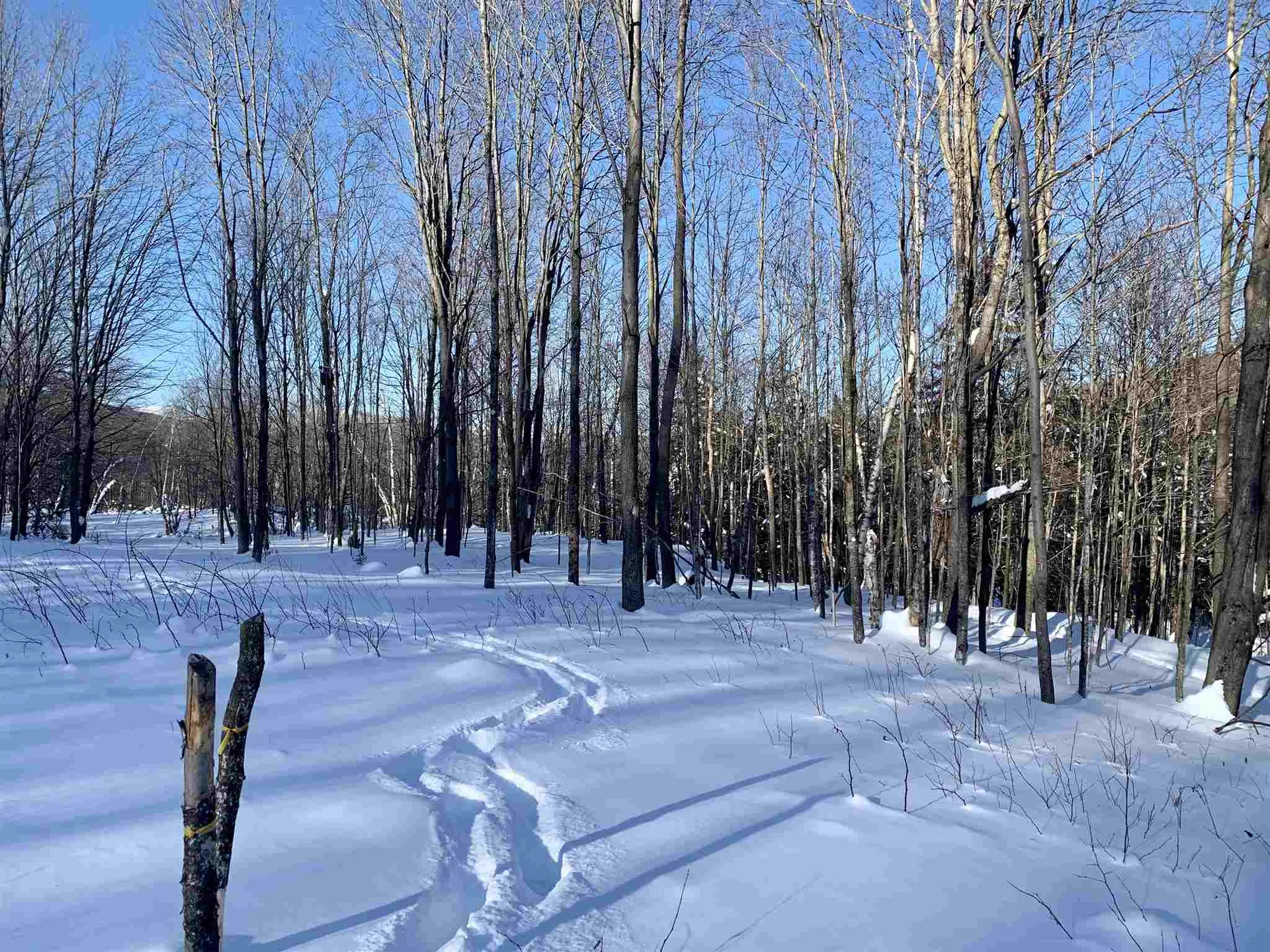 1923 German Flats Road Fayston VT 05673