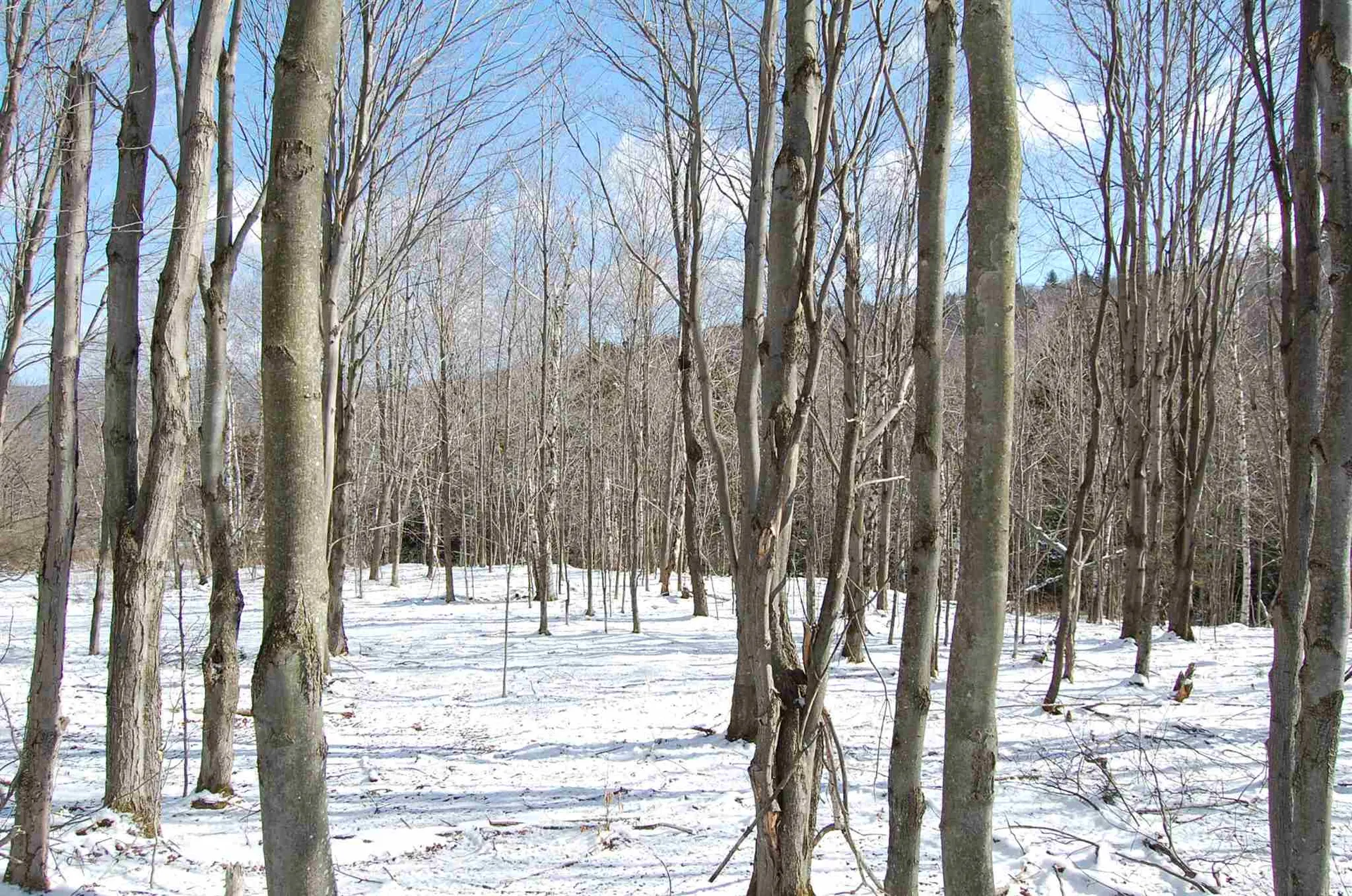 1923 German Flats Road Fayston VT 05673