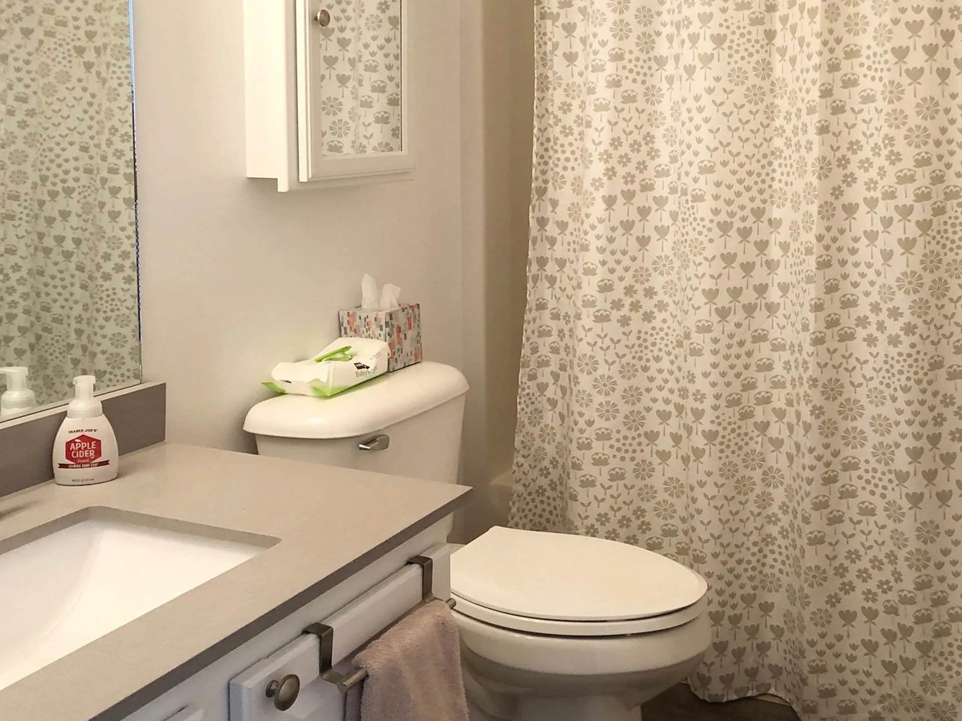 19 Chelsea Place Williston VT 05495