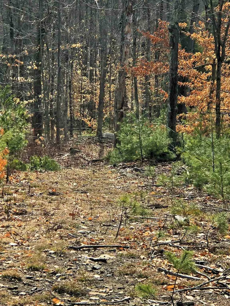 0 Freedom Road Barrington NH 03825