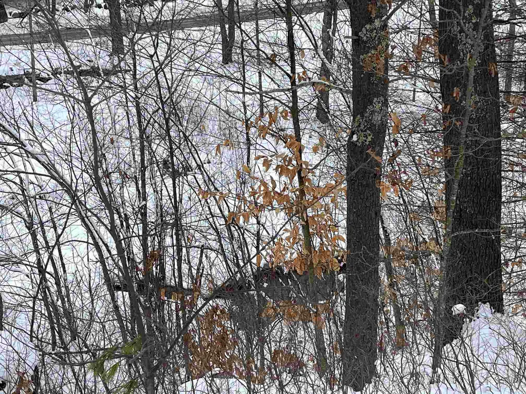 0 Freedom Road Barrington NH 03825
