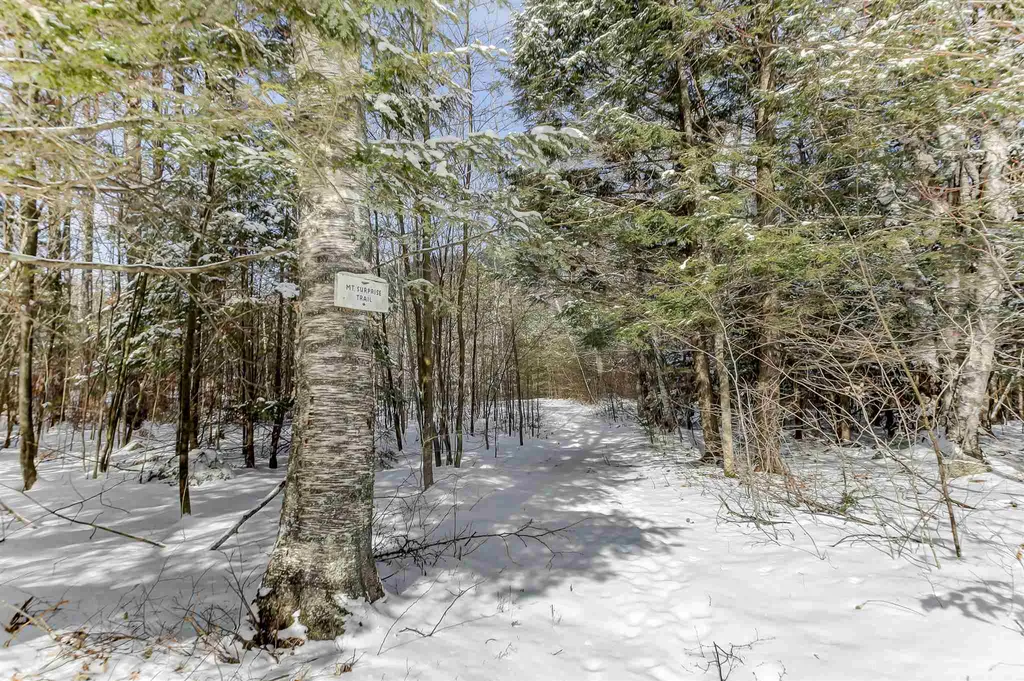 64 Mount Surprise Road Bartlett NH 03812