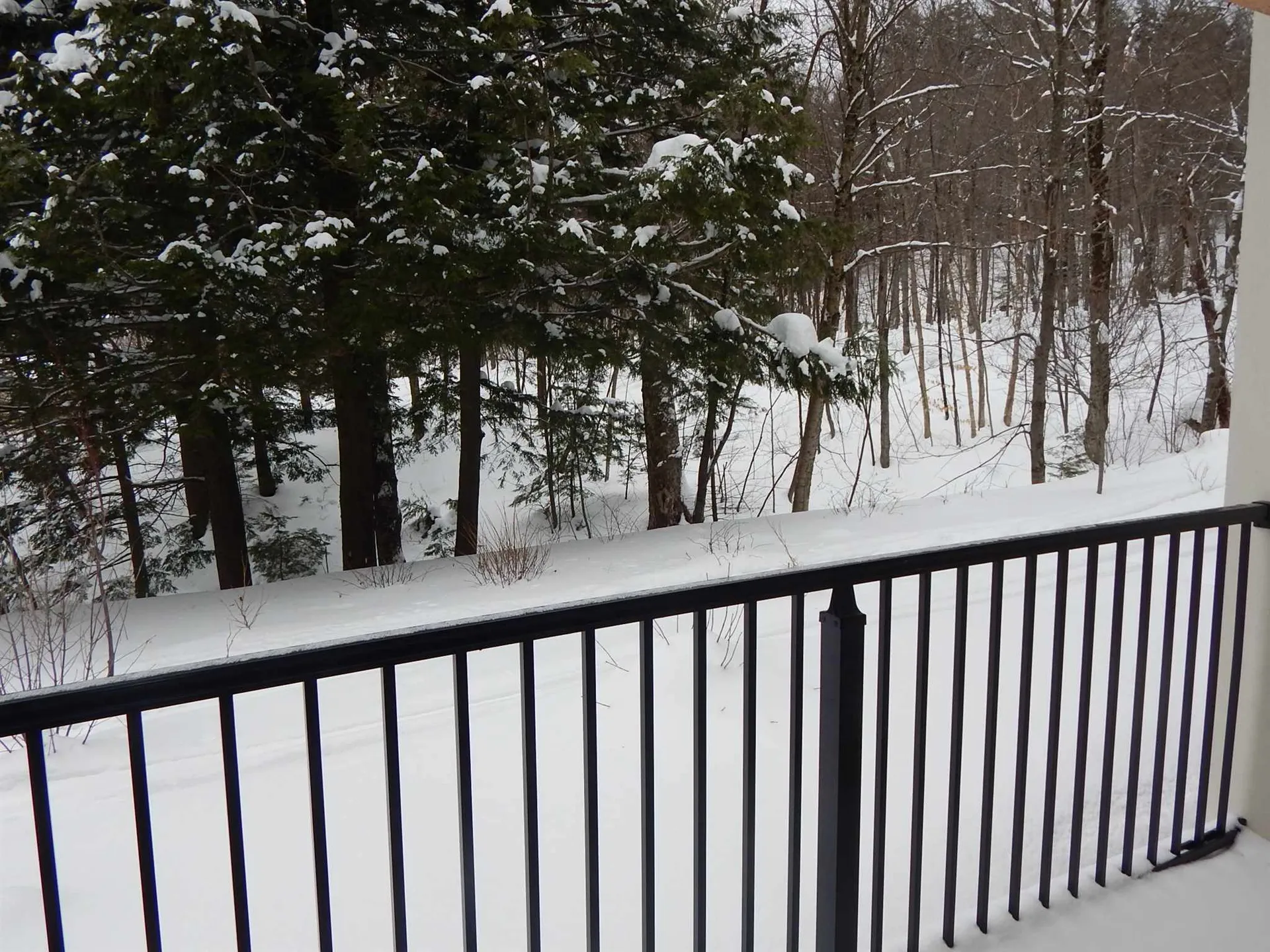 251 Mountainside Drive Warren VT 05674
