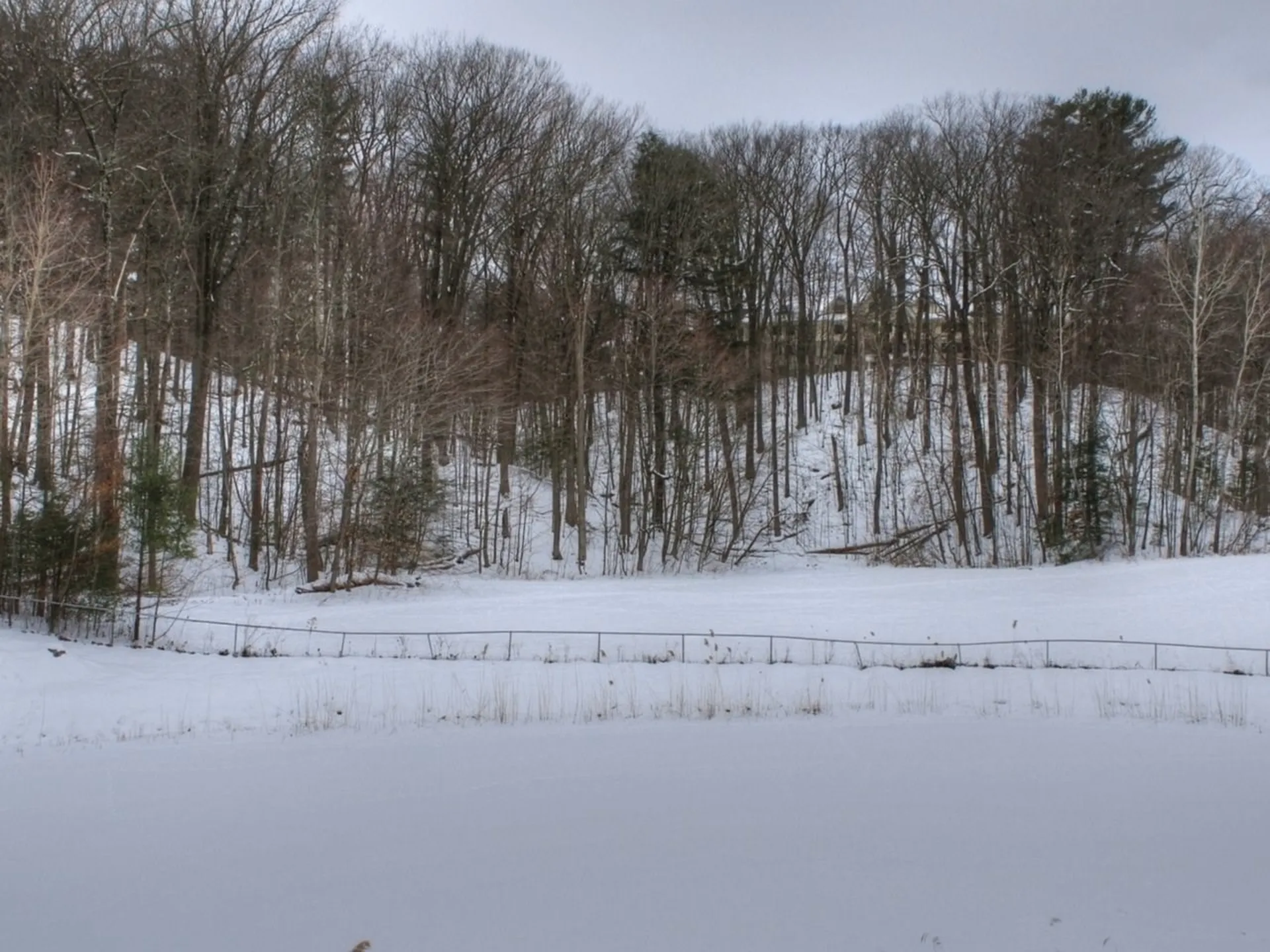 131 Hildred Drive Burlington VT 05401