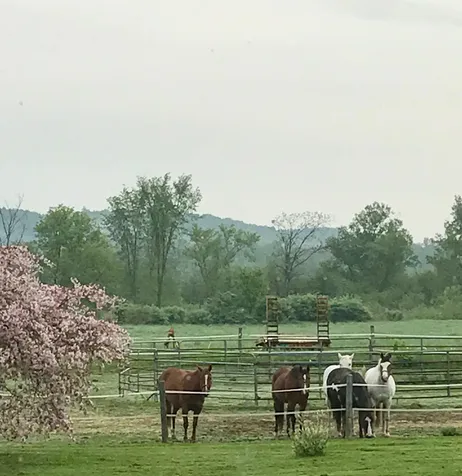 300 Stagecoach Road Stowe VT 05672