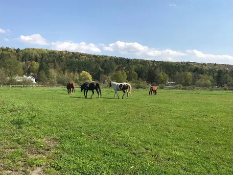 300 Stagecoach Road Stowe VT 05672