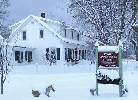 300 Stagecoach Road Stowe VT 05672
