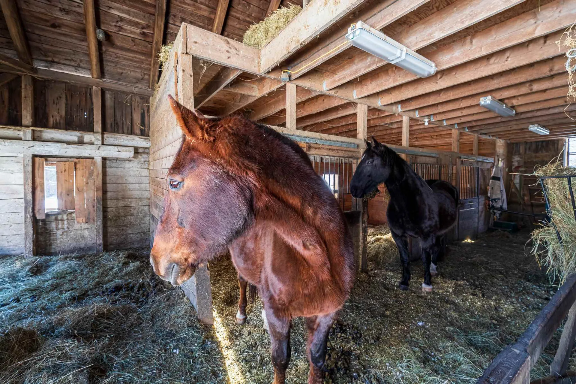 138 Three Mile Road Hanover NH 03755