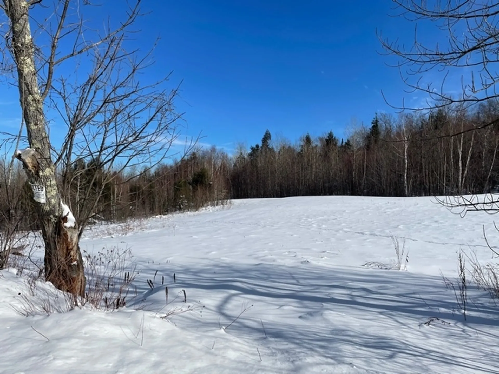 435 Powder Spring Road Topsham VT 05076
