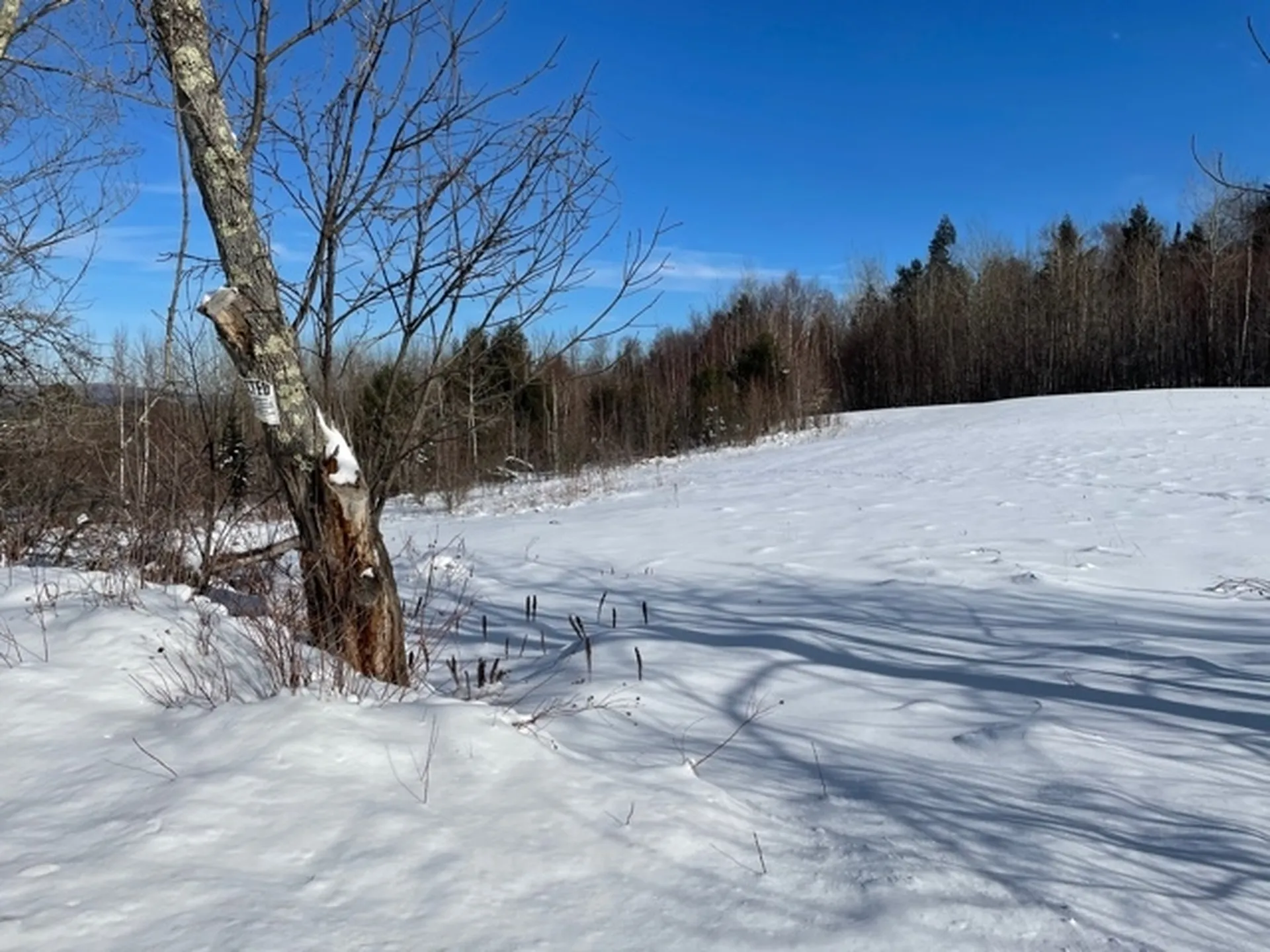 435 Powder Spring Road Topsham VT 05076