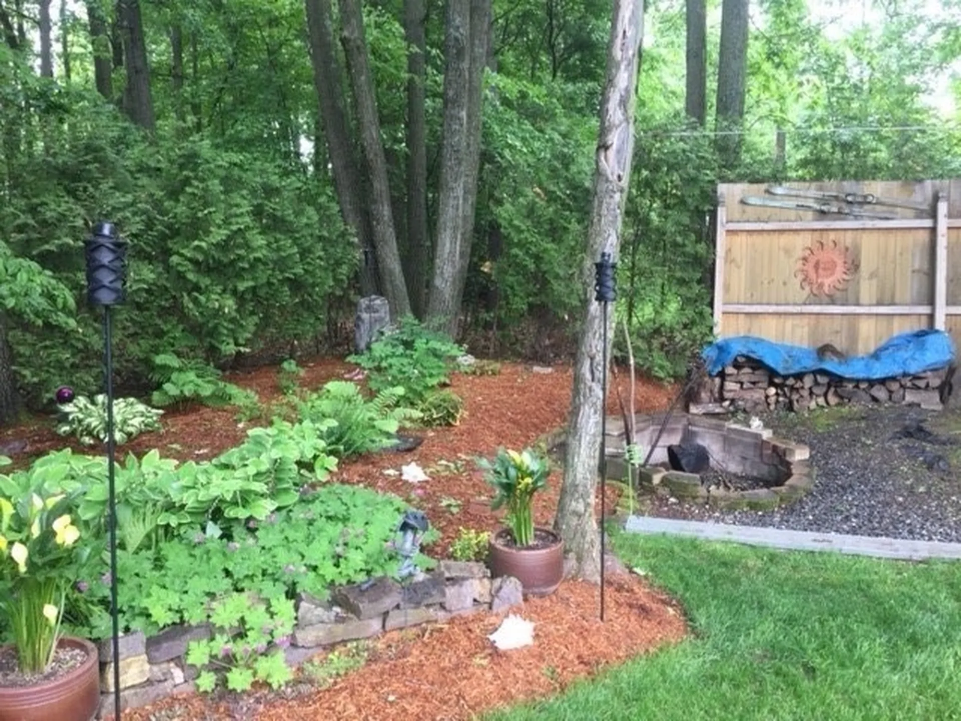 62 Fox Run Colchester VT 05446
