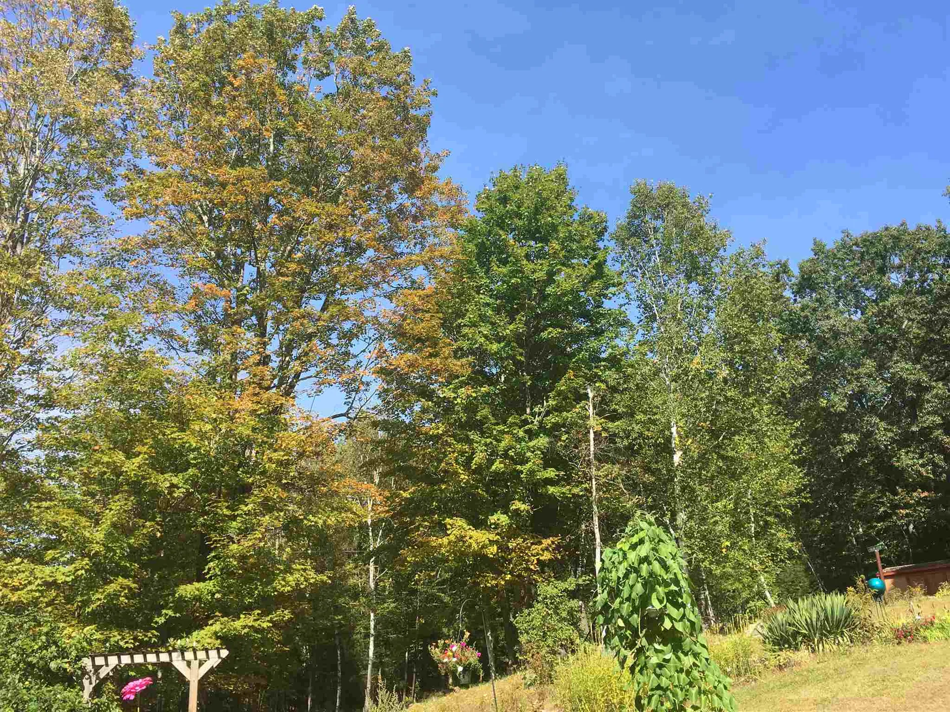 779 Old Homestead Highway Richmond NH 03470