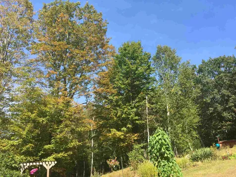 779 Old Homestead Highway Richmond NH 03470
