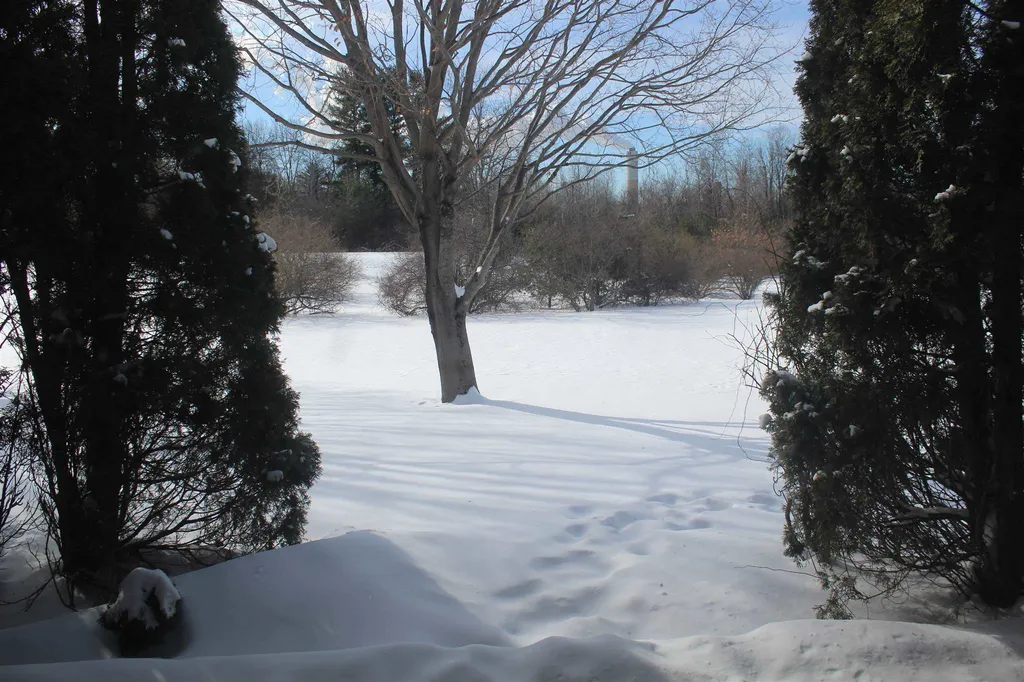 17 Savage Court Pembroke NH 03275