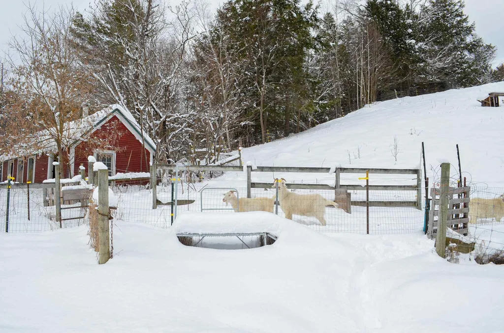 20 Chubb Hill Road Cavendish VT 05142