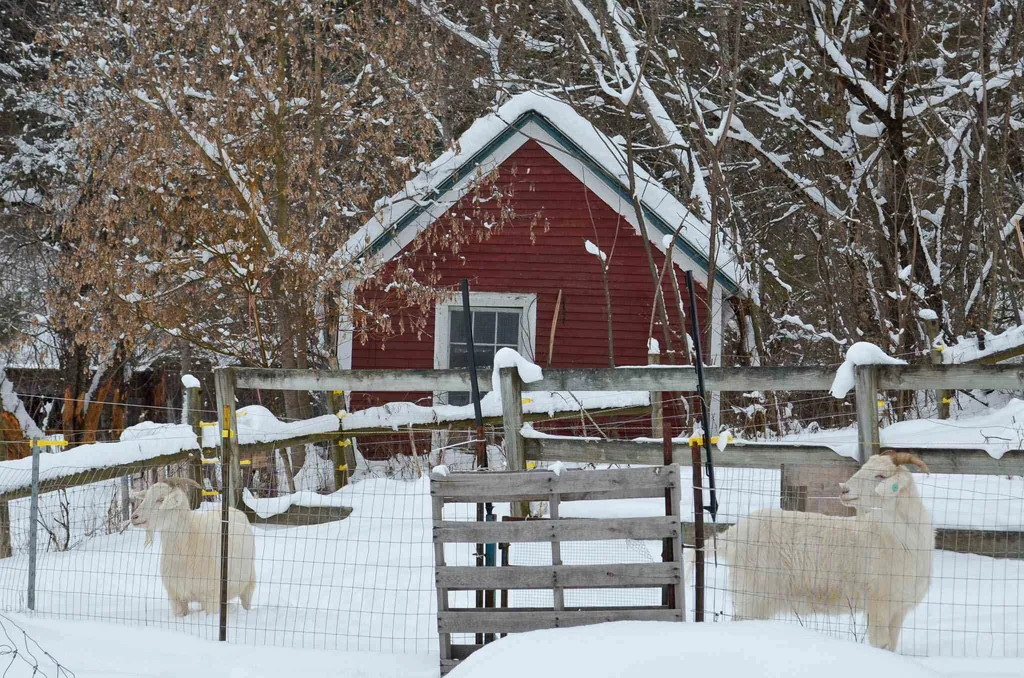 20 Chubb Hill Road Cavendish VT 05142