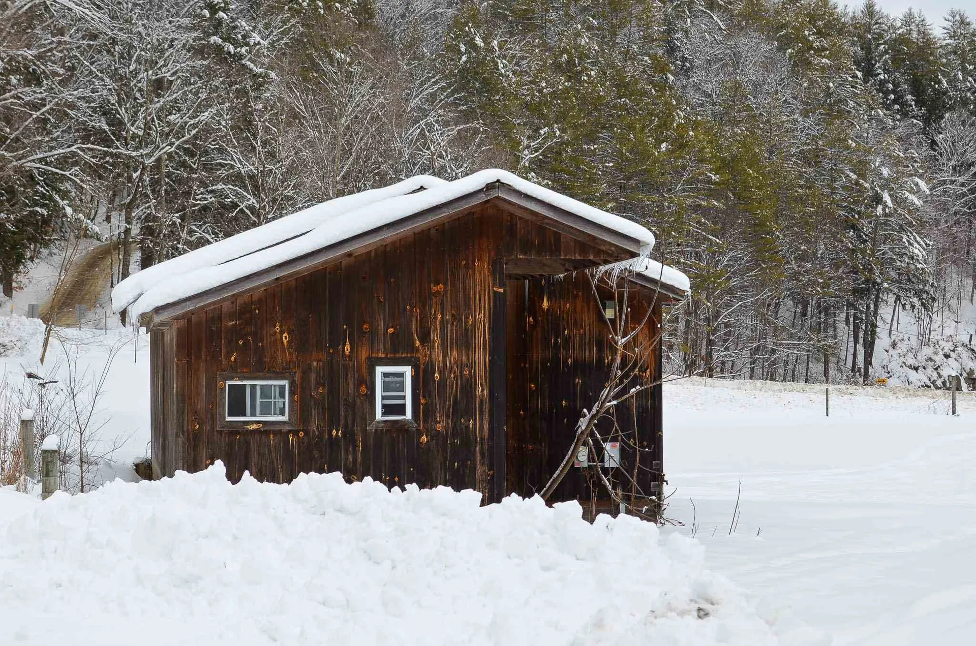 20 Chubb Hill Road Cavendish VT 05142