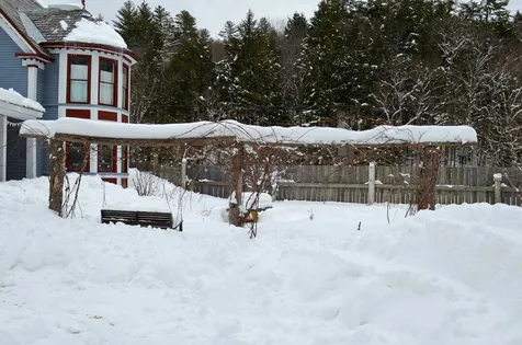 20 Chubb Hill Road Cavendish VT 05142