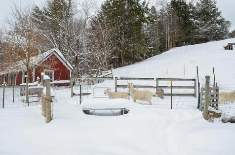 20 Chubb Hill Road Cavendish VT 05142