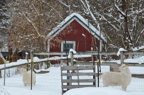 20 Chubb Hill Road Cavendish VT 05142