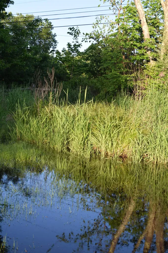65 Raymond Road Deerfield NH 03037