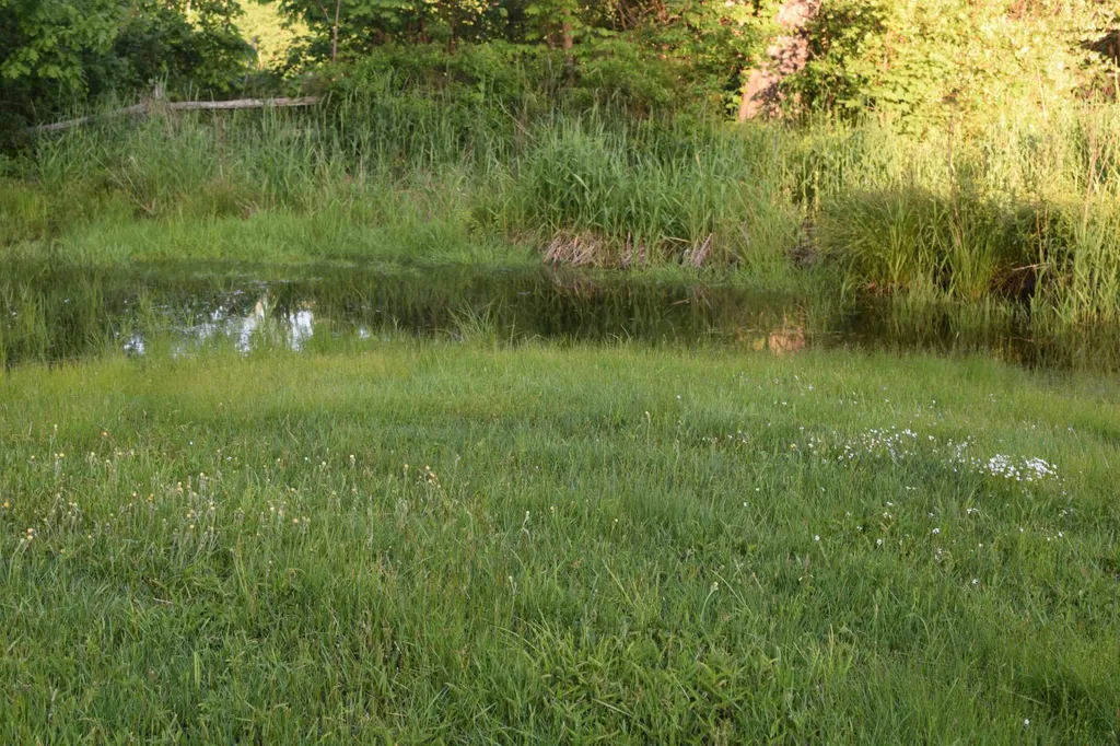 65 Raymond Road Deerfield NH 03037