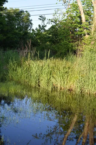 65 Raymond Road Deerfield NH 03037