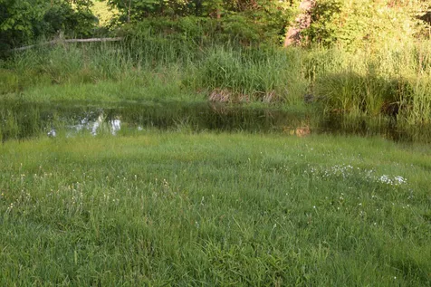 65 Raymond Road Deerfield NH 03037