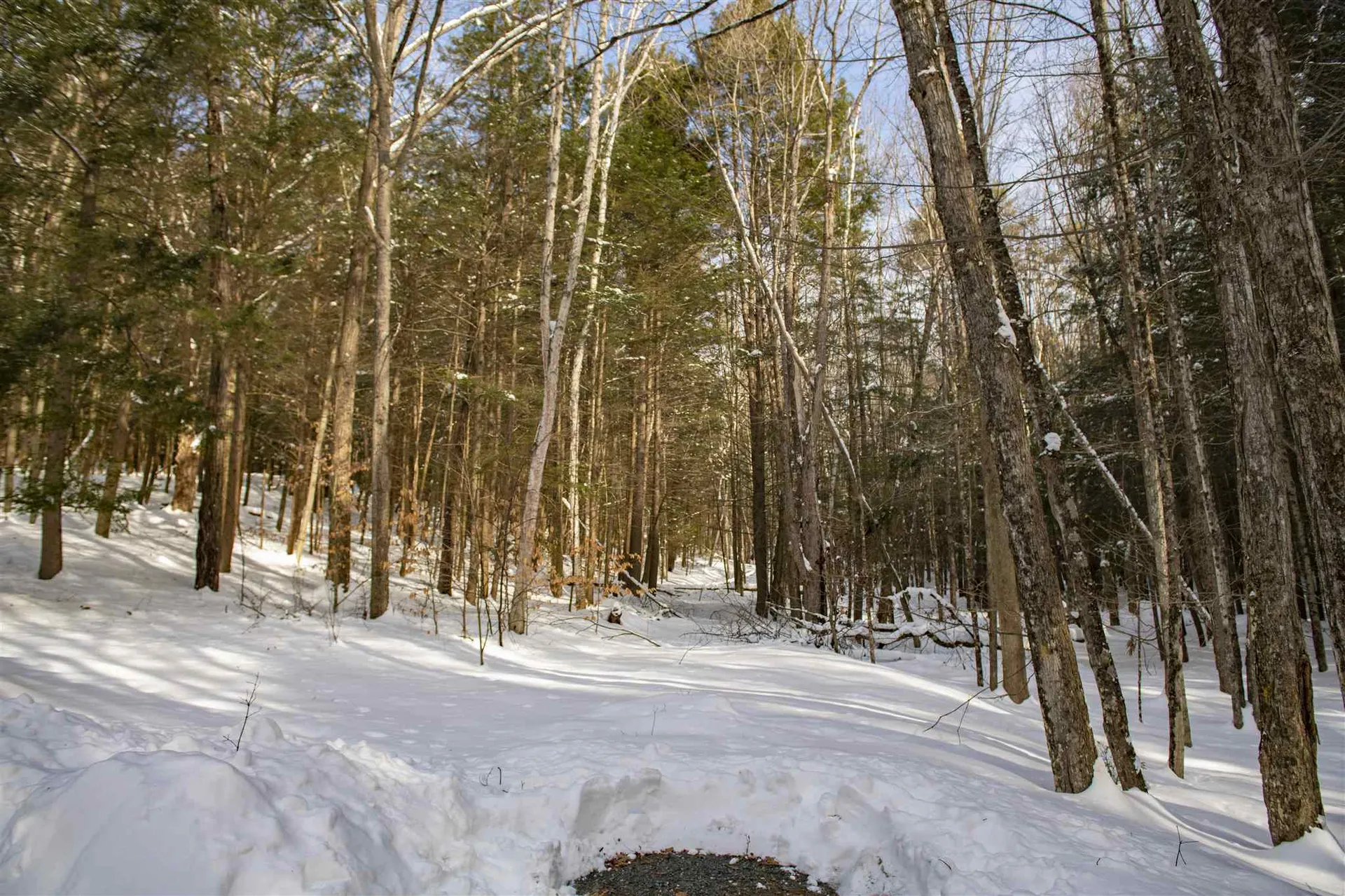 76 Bayley Way Hartford VT 05059