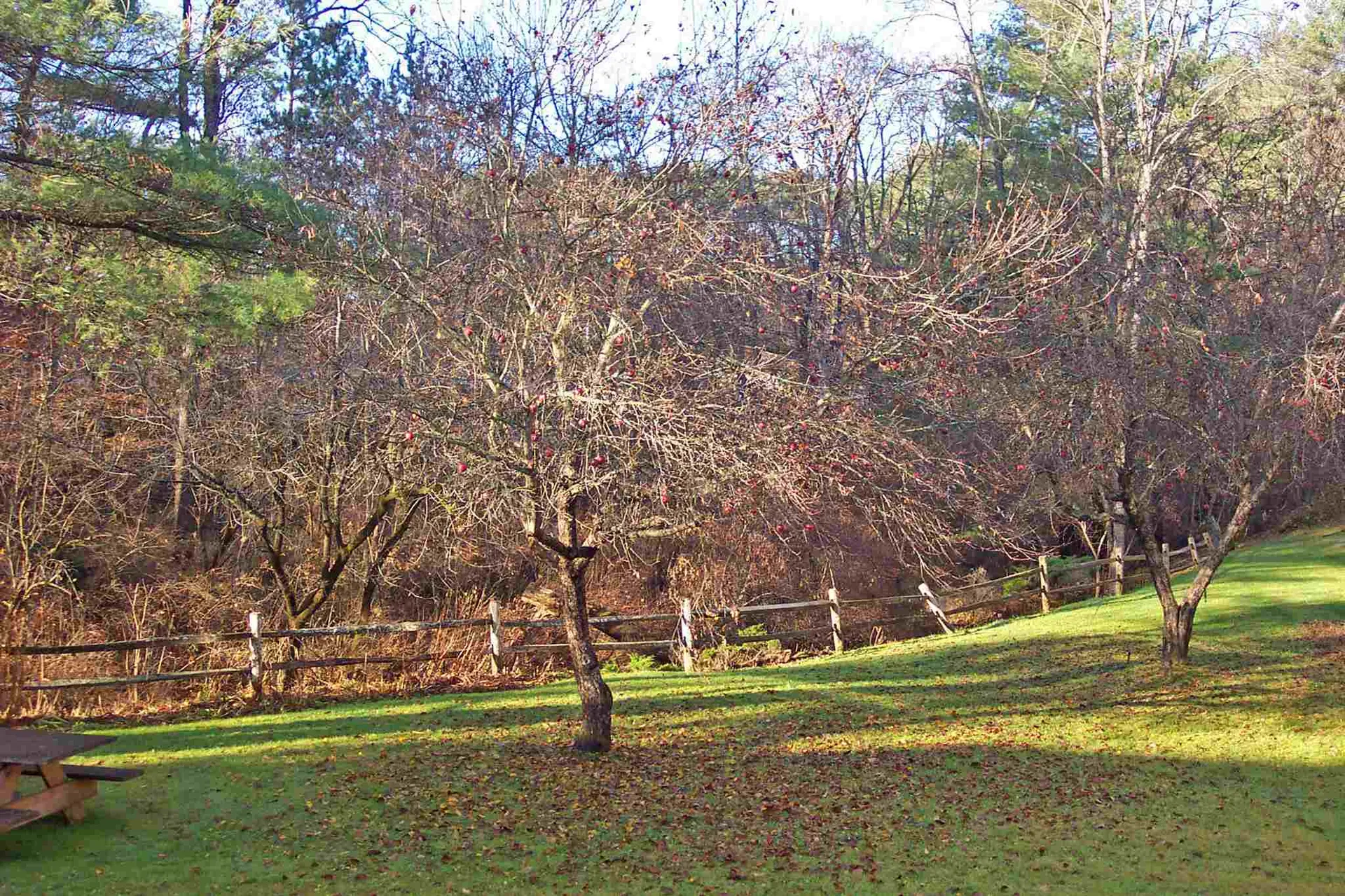 309 Brook Hollow Hanover NH 03755