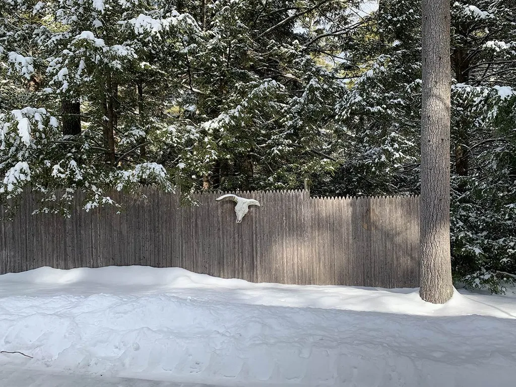 3 Averill Road Brookline NH 03033