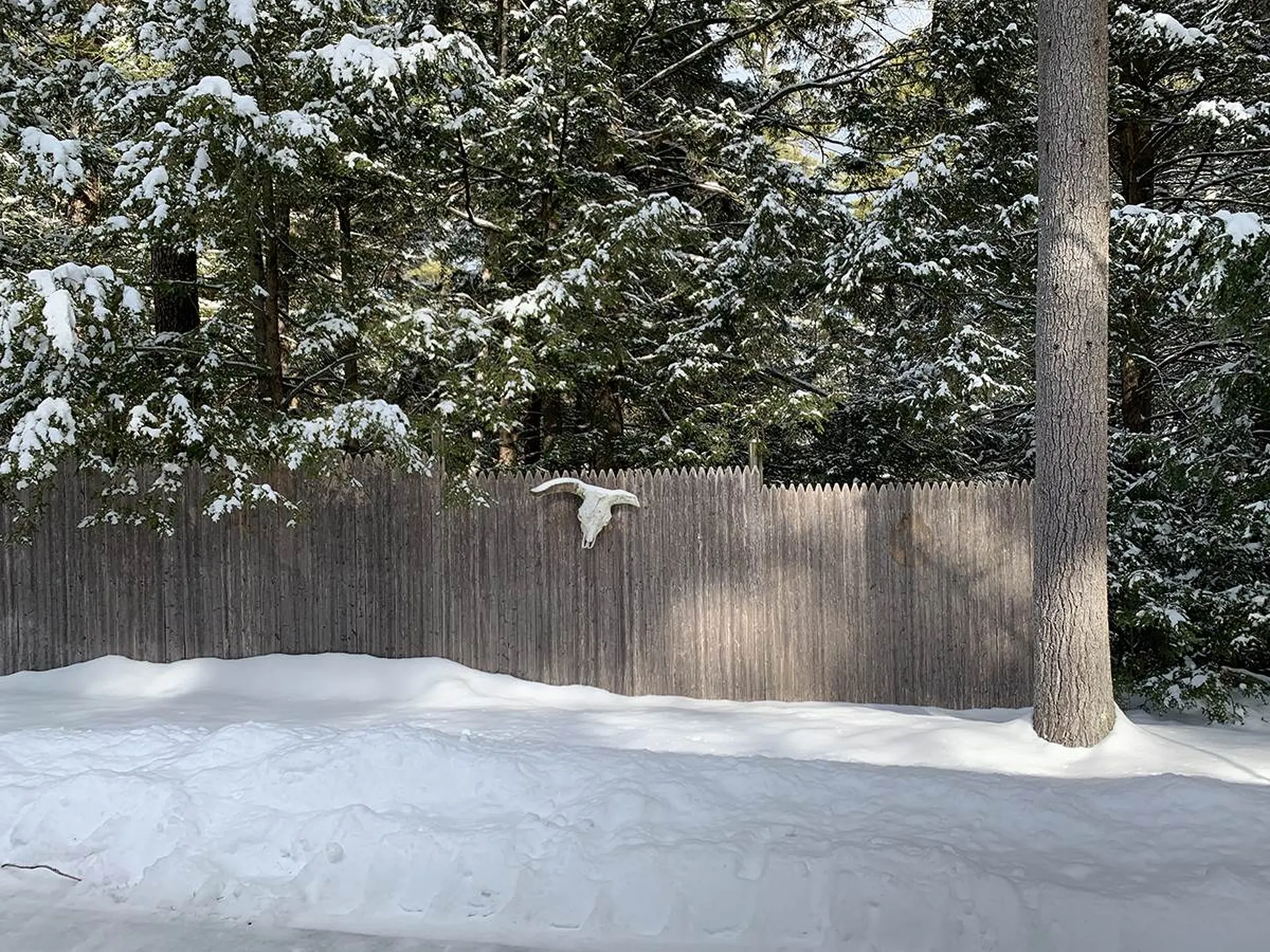 3 Averill Road Brookline NH 03033