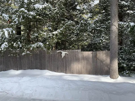 3 Averill Road Brookline NH 03033