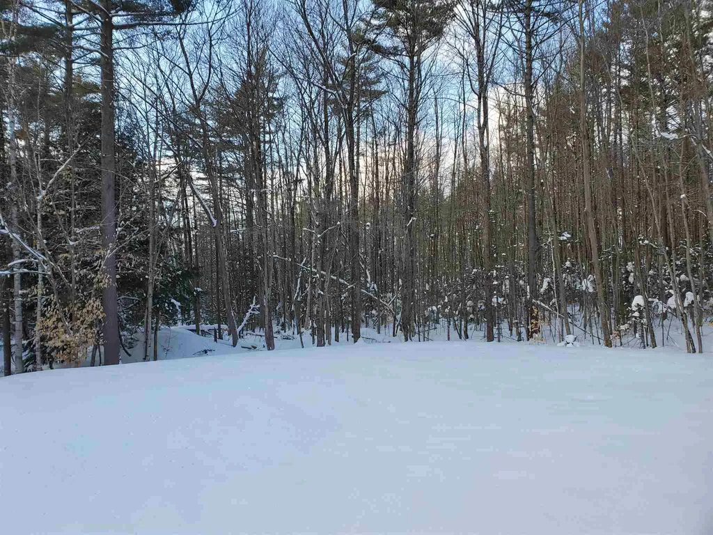 28 Blueberry Woods Drive Canaan NH 03741