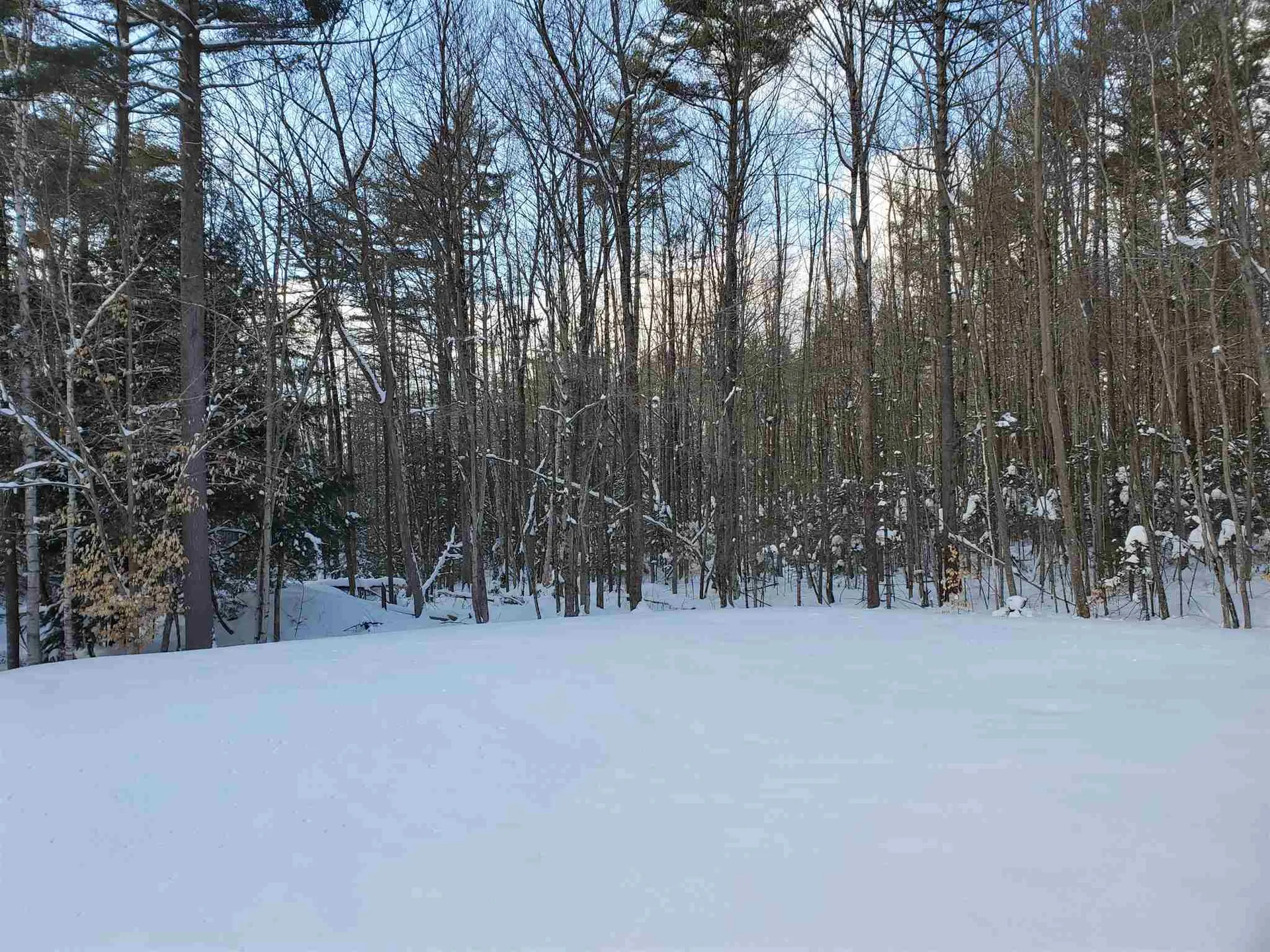 28 Blueberry Woods Drive Canaan NH 03741