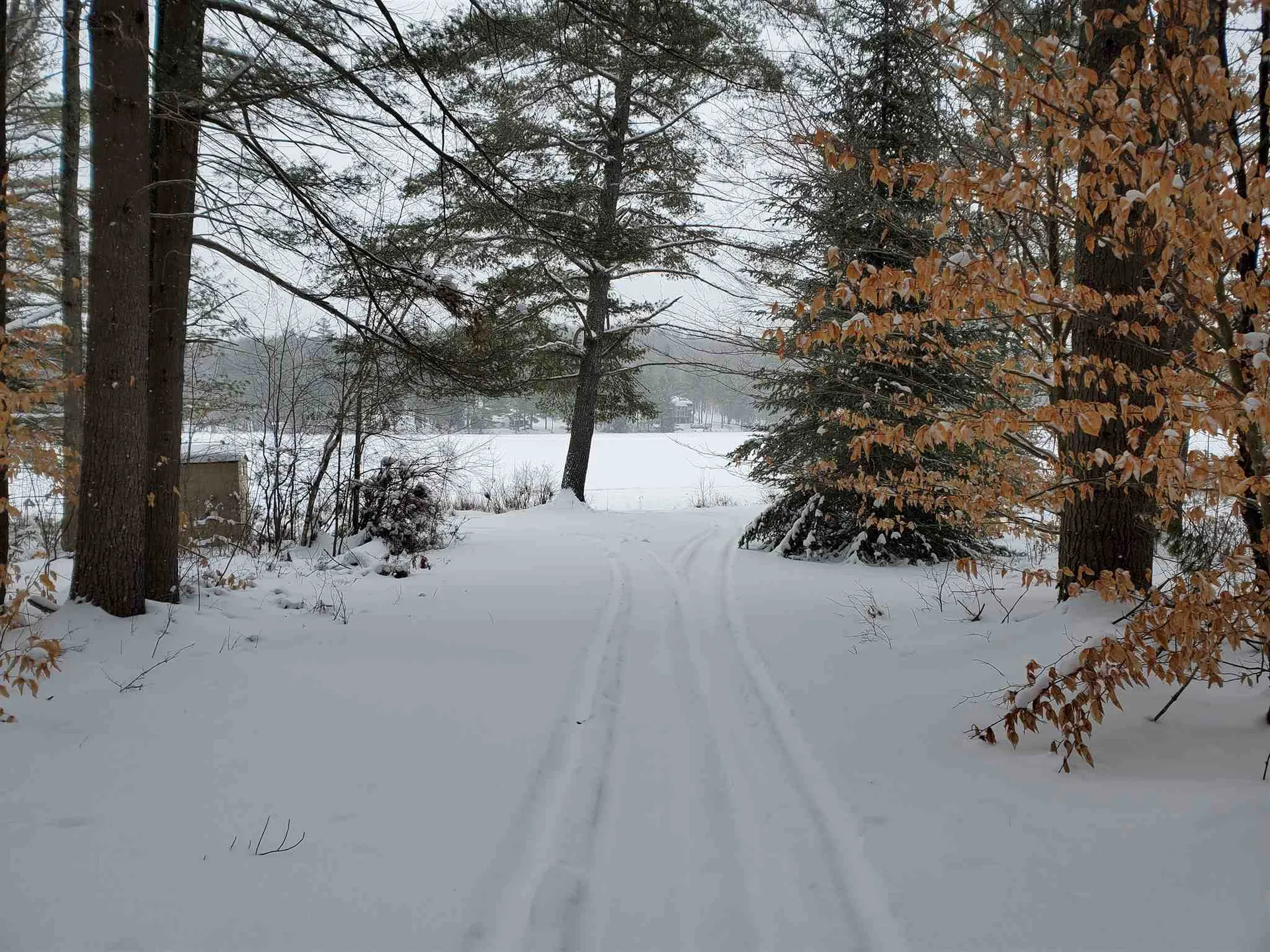 28 Blueberry Woods Drive Canaan NH 03741