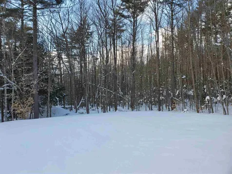 28 Blueberry Woods Drive Canaan NH 03741