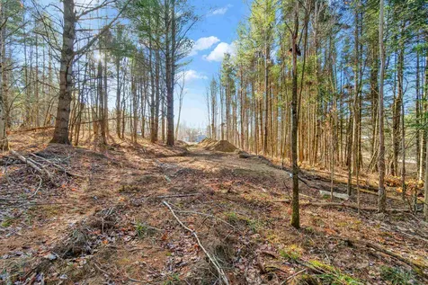 75 Blueberry Lane Jericho VT 05465