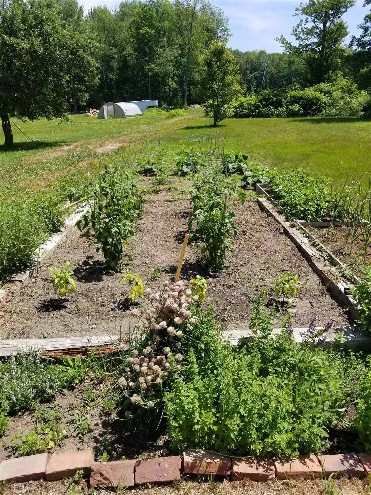 225 Mansion Road Dunbarton NH 03046