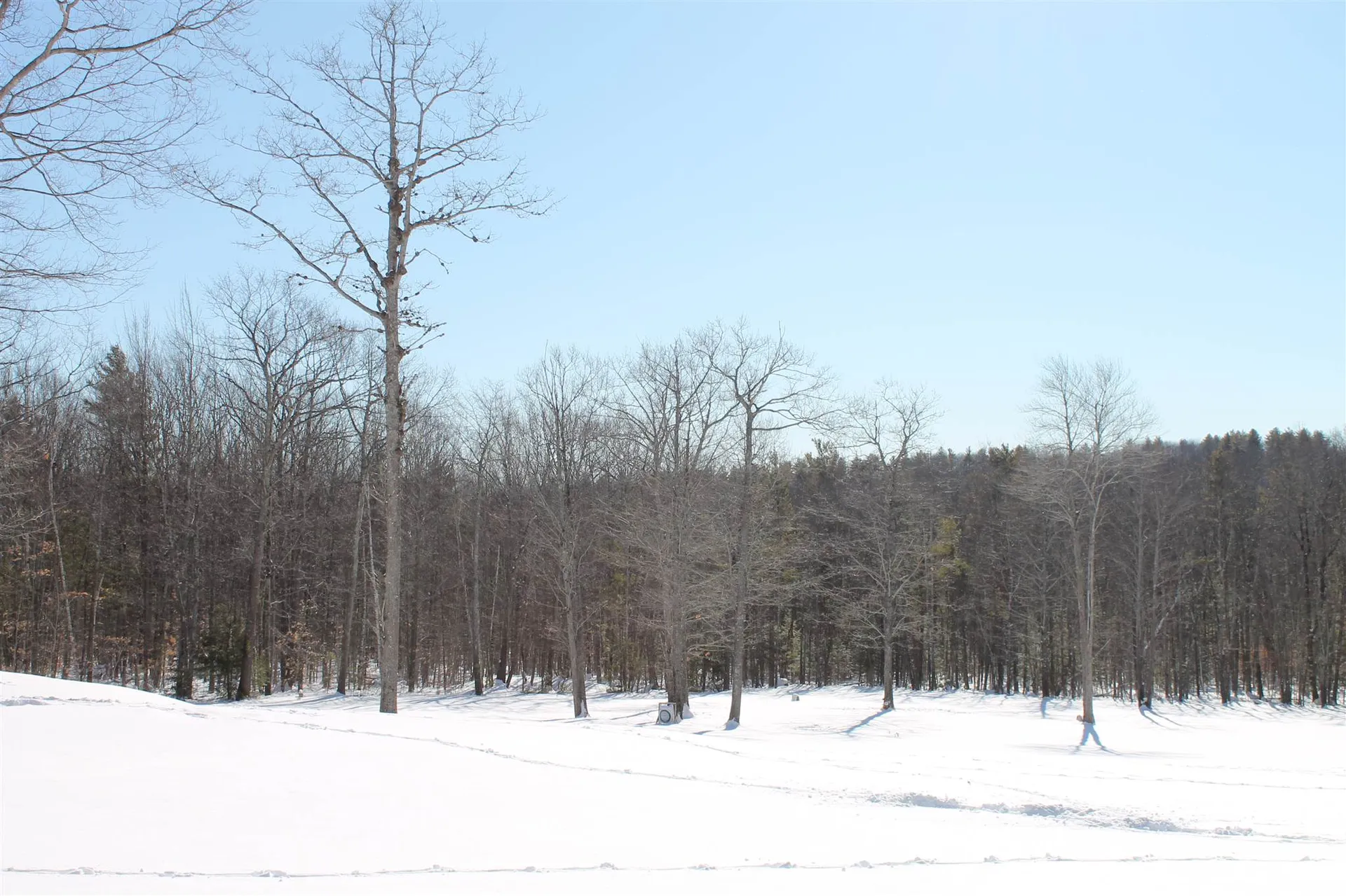 457 Dudley Road Alton NH 03809