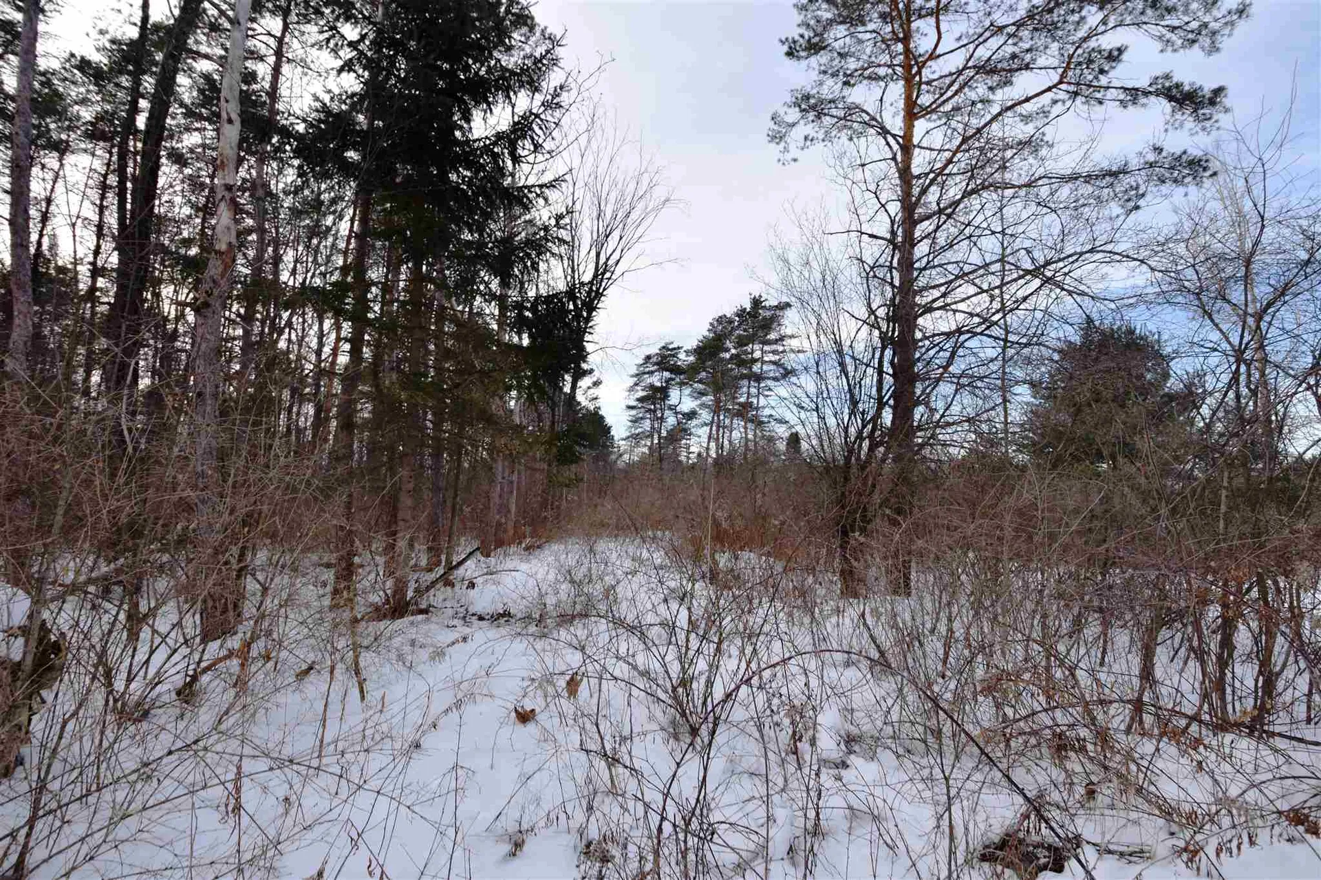 Route 7 Ferrisburgh VT 05456