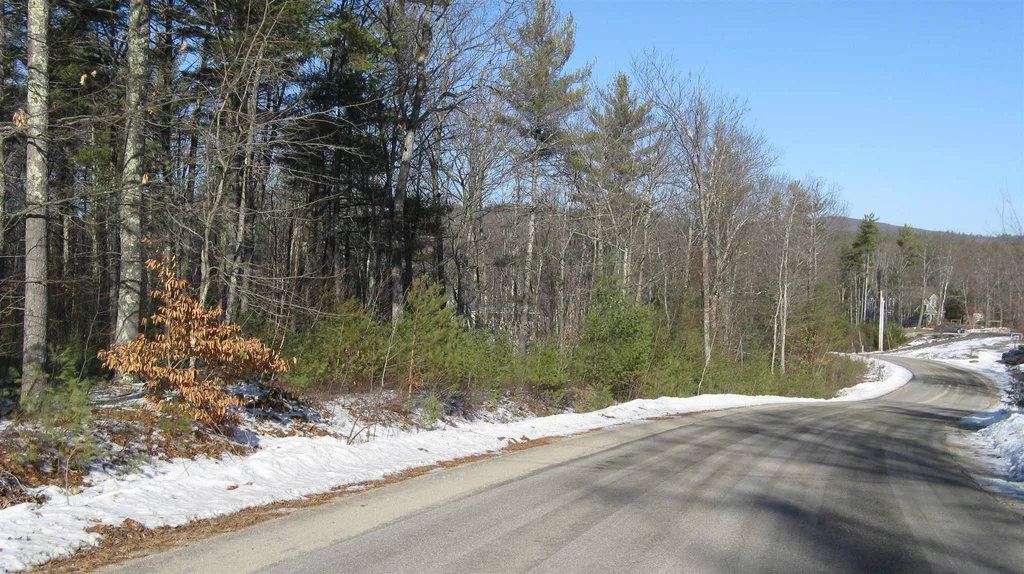 48 Chamberlin Way New Durham NH 03855