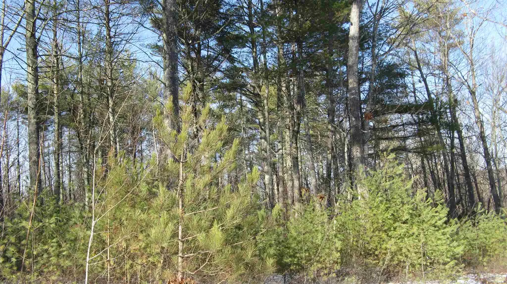 48 Chamberlin Way New Durham NH 03855