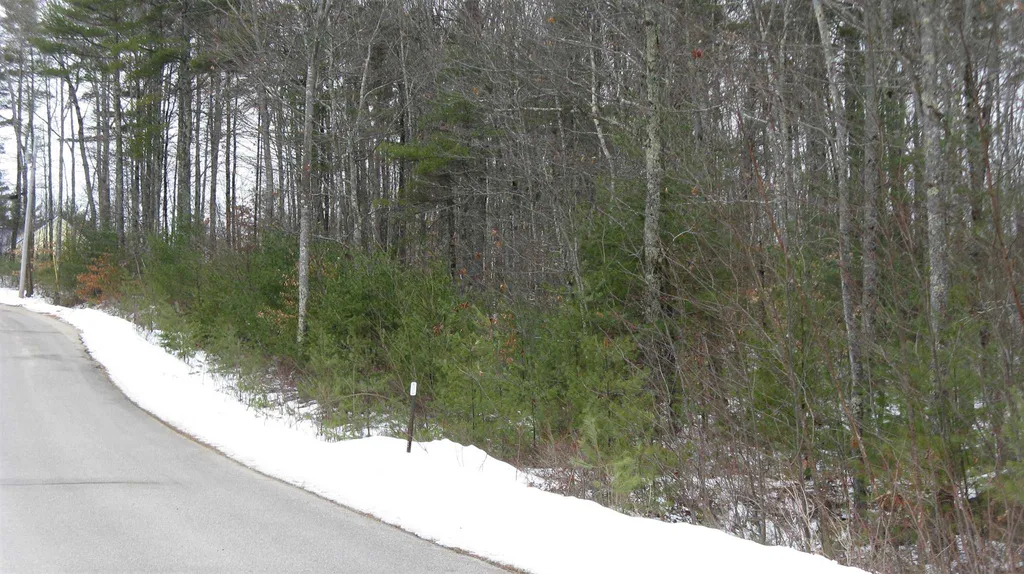 48 Chamberlin Way New Durham NH 03855
