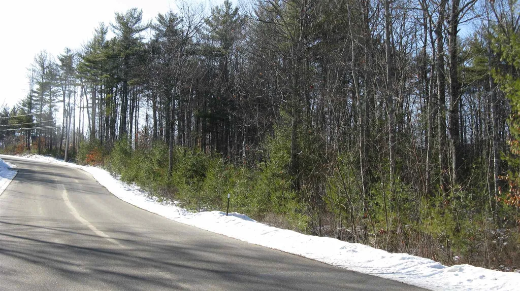 48 Chamberlin Way New Durham NH 03855