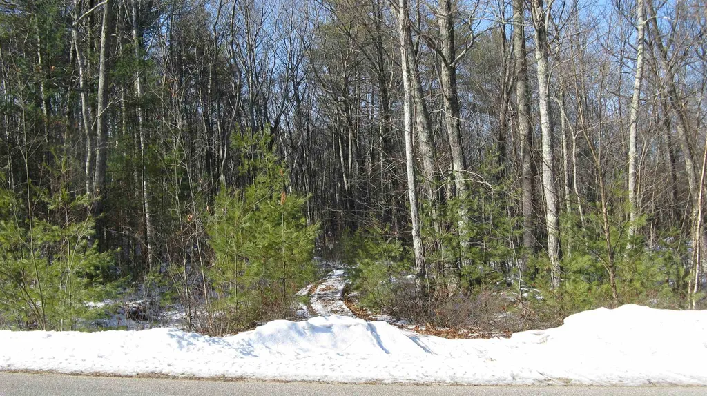 48 Chamberlin Way New Durham NH 03855