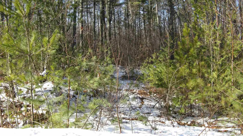 48 Chamberlin Way New Durham NH 03855